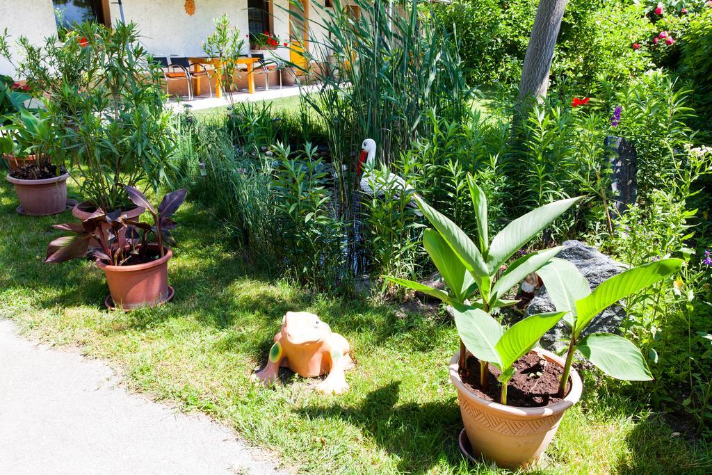 アペートロンHaus Akazieアパートメント 部屋 写真